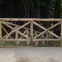 Pali Castagno & Larice